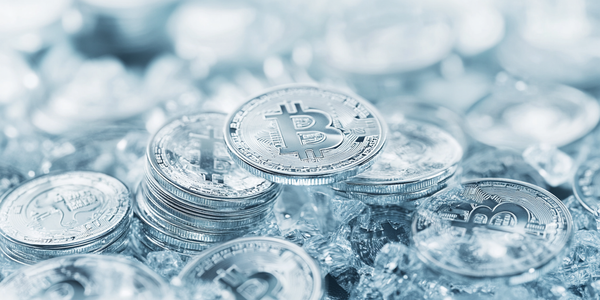 Pryzmat Nexor: Financial Trading Triumph or Not? Uncover the Truth